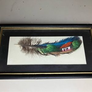 Vintage feather art in picture frame